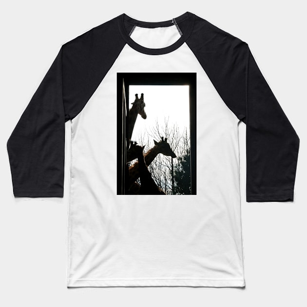 Long Necks Baseball T-Shirt by Ladymoose